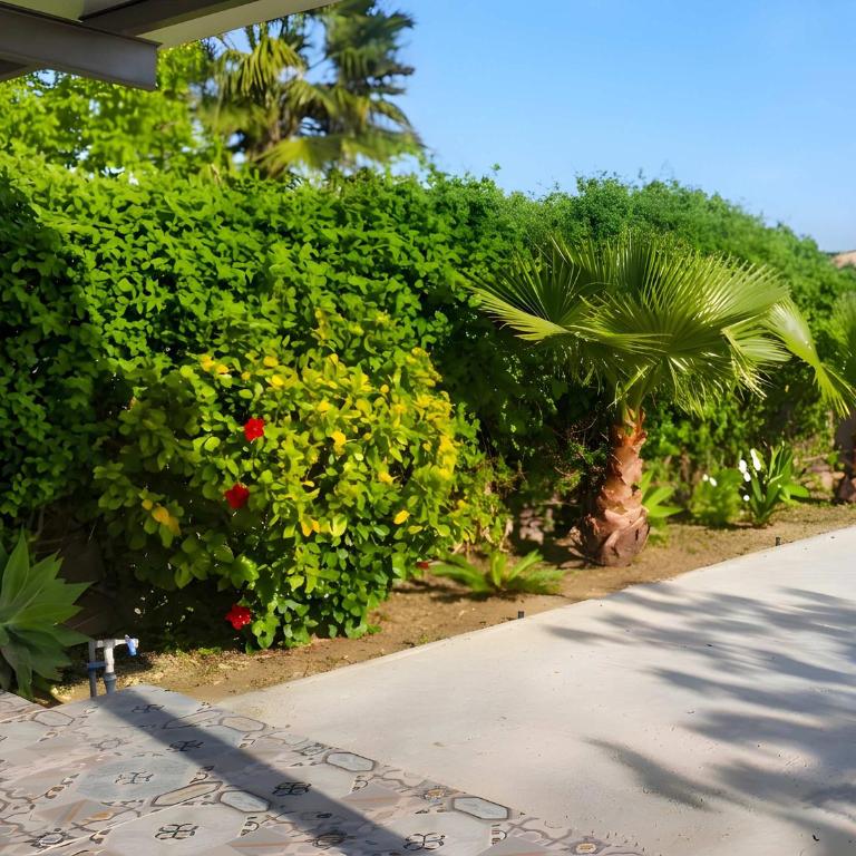 Casa con jardin privado y zona de barbacoa - Casa Vacanze - 11