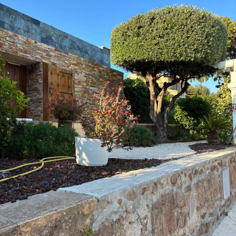 Villa Naussica - Villa - 71