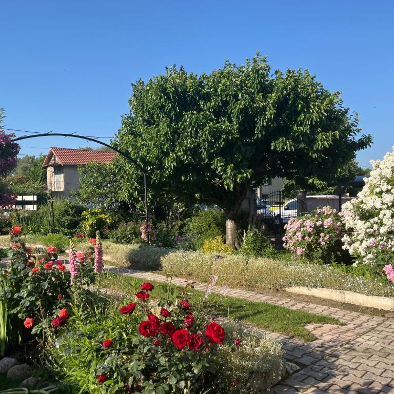 Super maison 5 pièces avec jardin - Villa de 3 dormitorios - 28