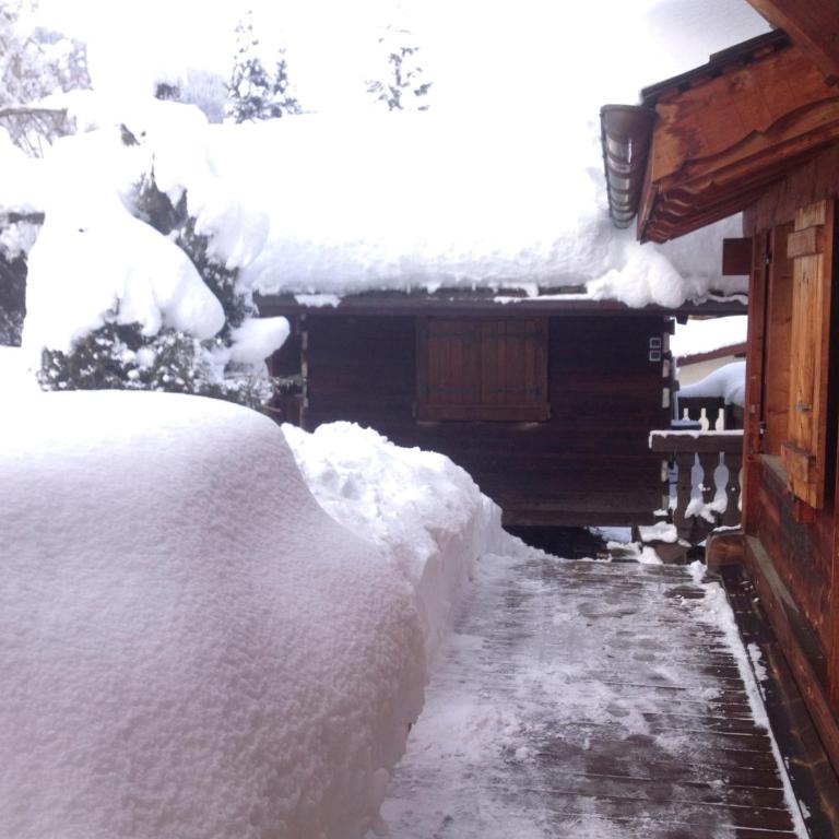 Chalet LA MARMOTTE Au pieds des Pistes - Chalet - 3