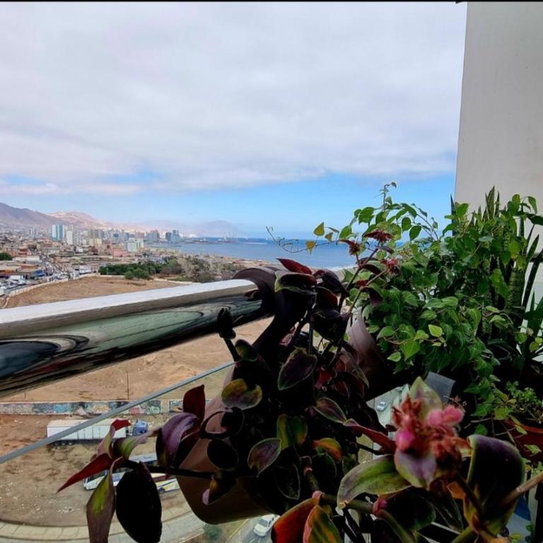Mining Business Suite - Apartamento de 1 dormitorio - 2