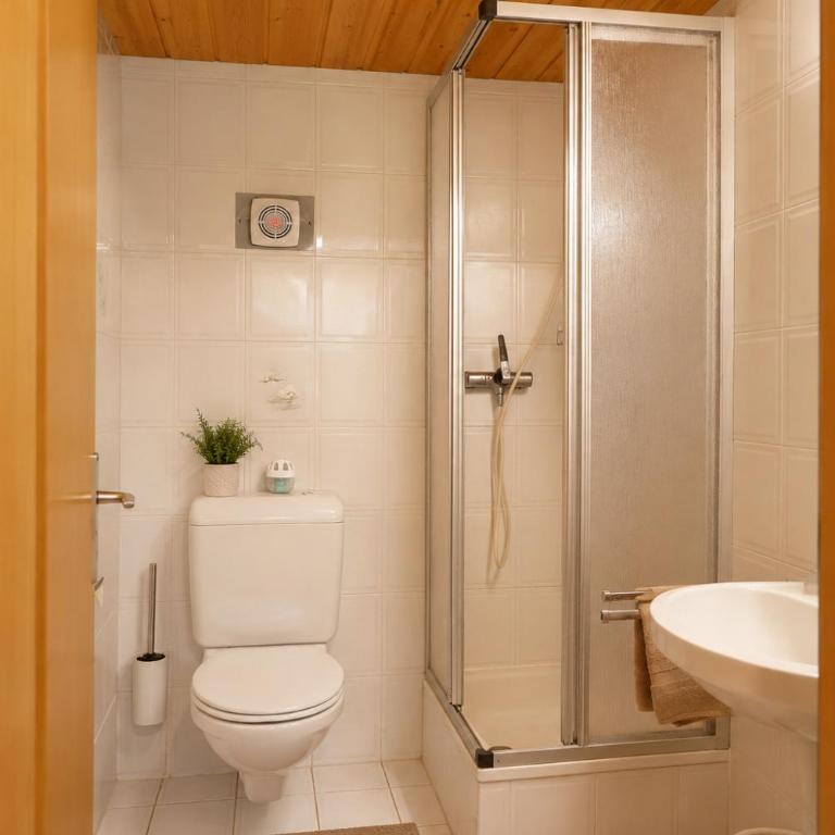 Alpinchalet Zigjam - Apartment mit 1 Schlafzimmer und Dusche - 5