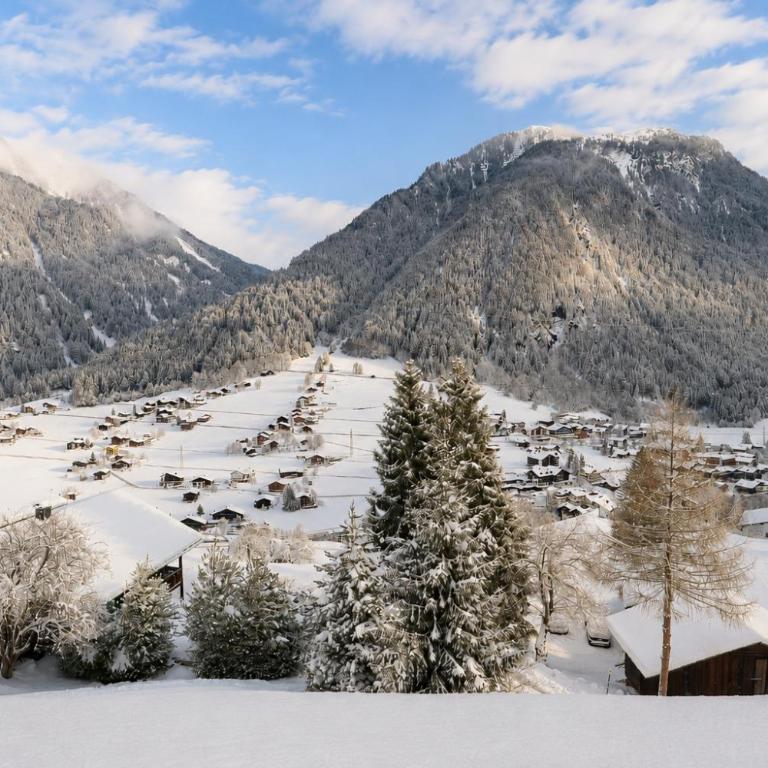 Alpinchalet Zigjam - Apartment mit 2 Schlafzimmern - 3