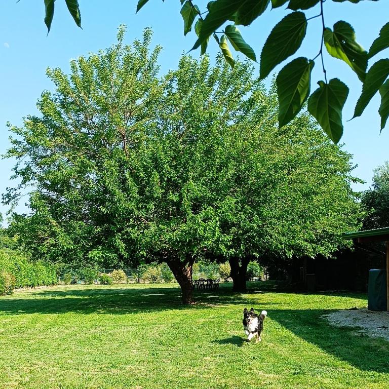 "My Country House" Salo' - Appartamento con 2 Camere da Letto - 6