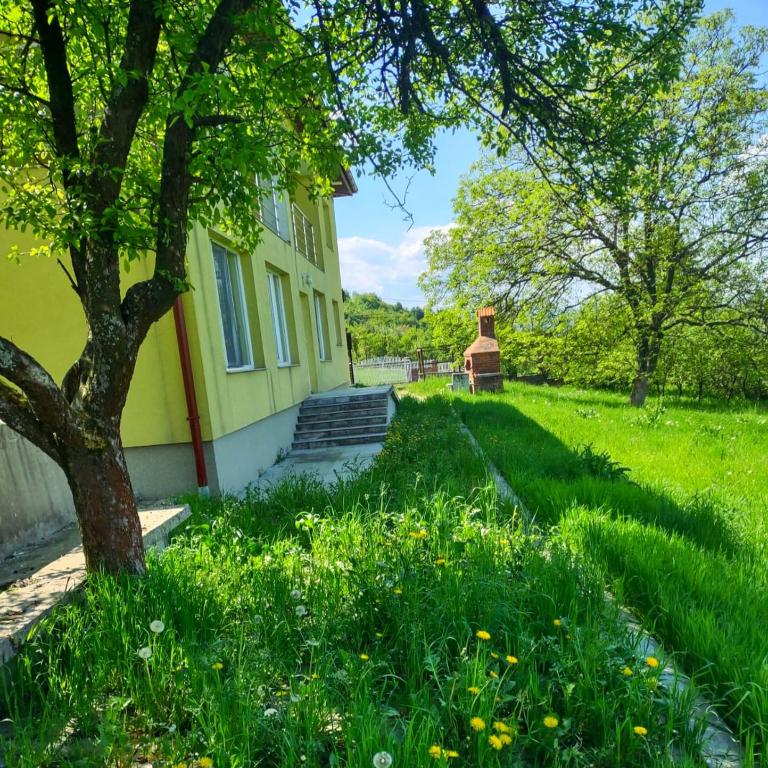 Villa EMIR - Bosnian Pyramids - Rooms and Entire Villa - Villa - 5