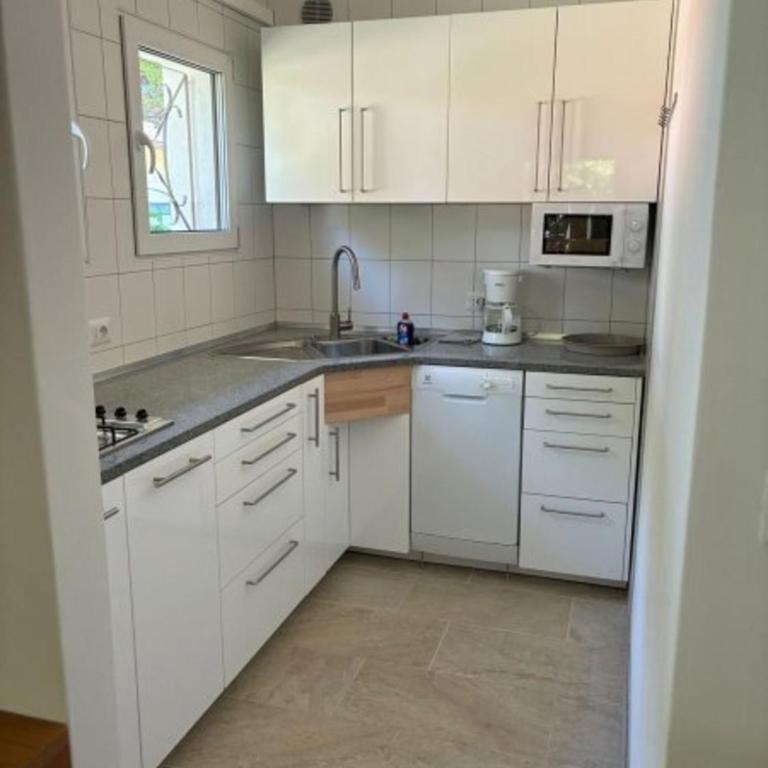 Spacious single house with barbecue and garden - Apartment - 2