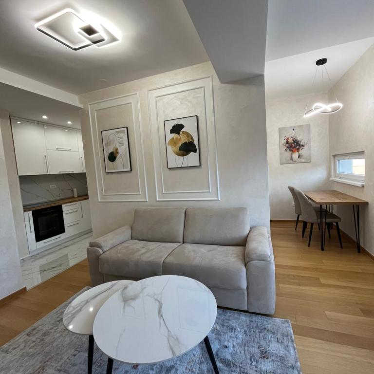Banja Luka Comfort - Apartman sa 1 Spavaćom Sobom - 3