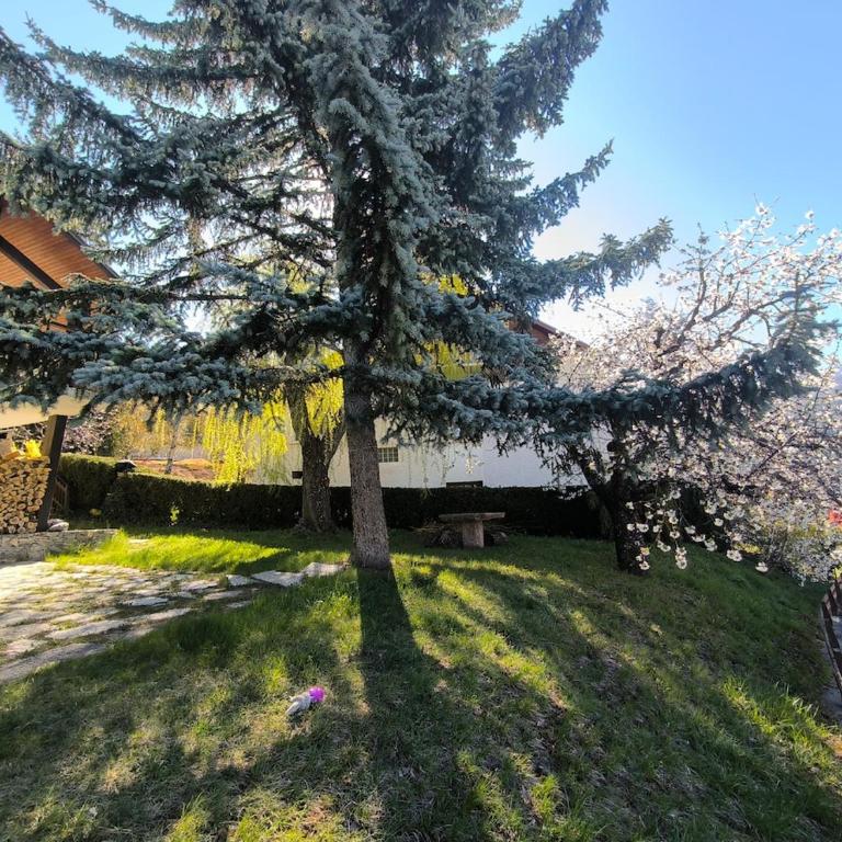 Grand chalet lumineux entre Risoul, Vars et le Queyras - Chalet - 29