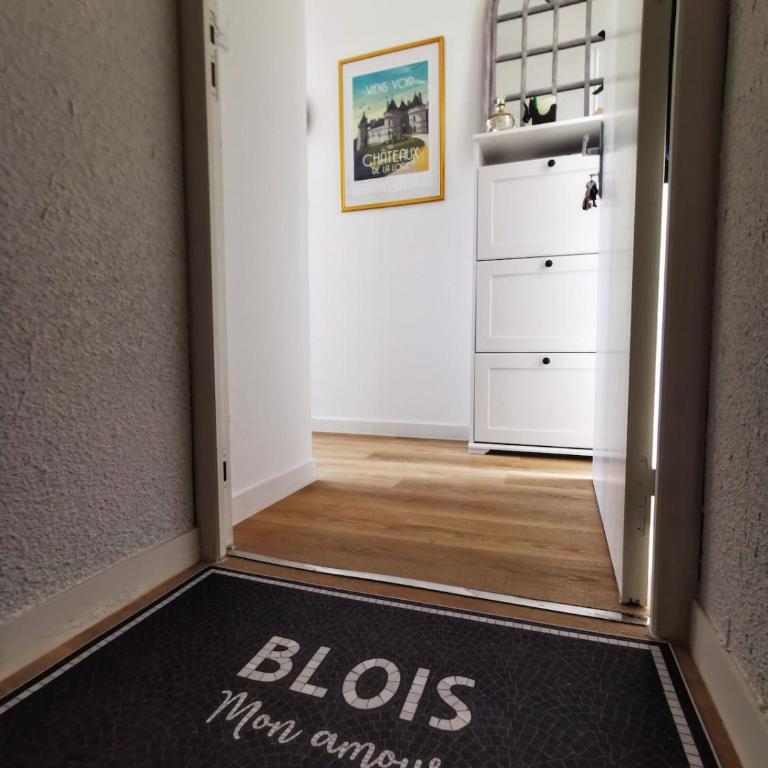 Vue Loire exceptionnelle avec Parking Chez Gabin - Apartamento de 2 dormitorios con vistas a la ciudad - 5