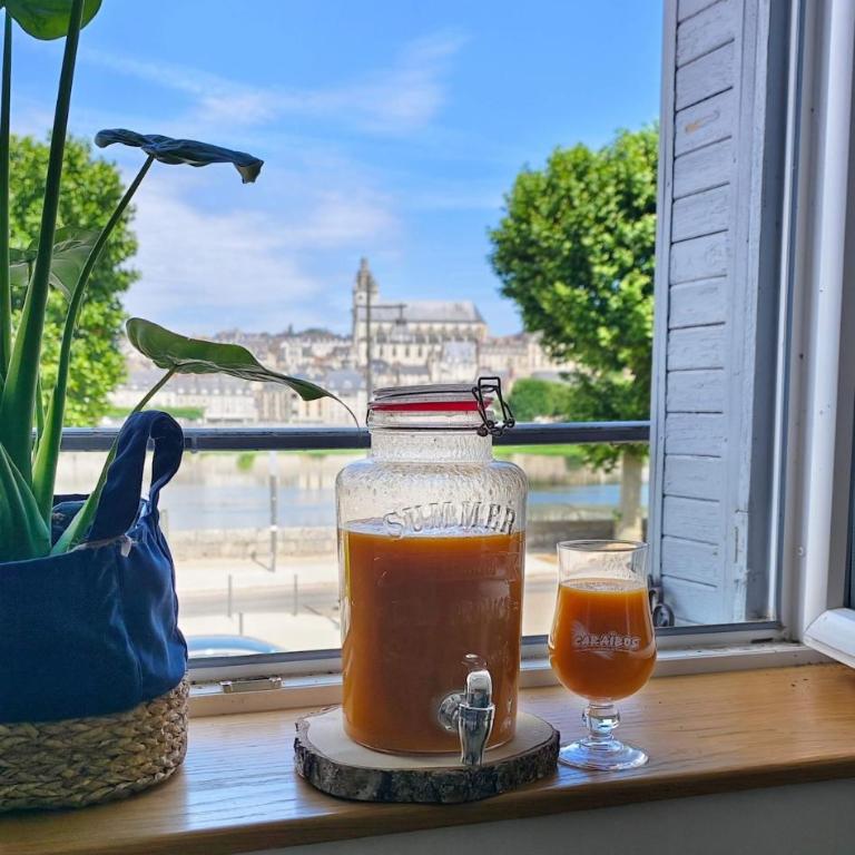 Vue Loire exceptionnelle avec Parking Chez Gabin - Apartamento de 2 dormitorios con vistas a la ciudad - 9