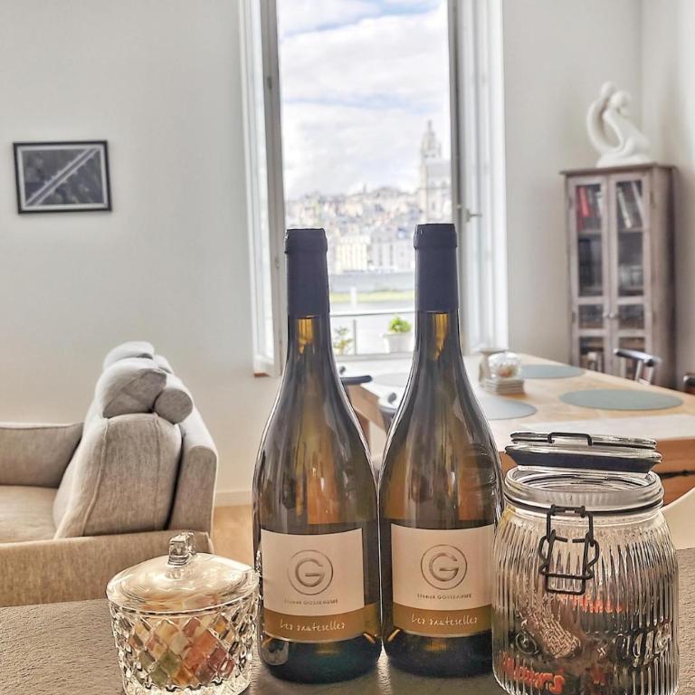 Vue Loire exceptionnelle avec Parking Chez Gabin - Apartamento de 2 dormitorios con vistas a la ciudad - 15
