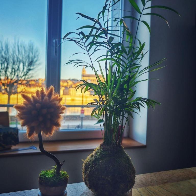 Vue Loire exceptionnelle avec Parking Chez Gabin - Apartamento de 2 dormitorios con vistas a la ciudad - 25