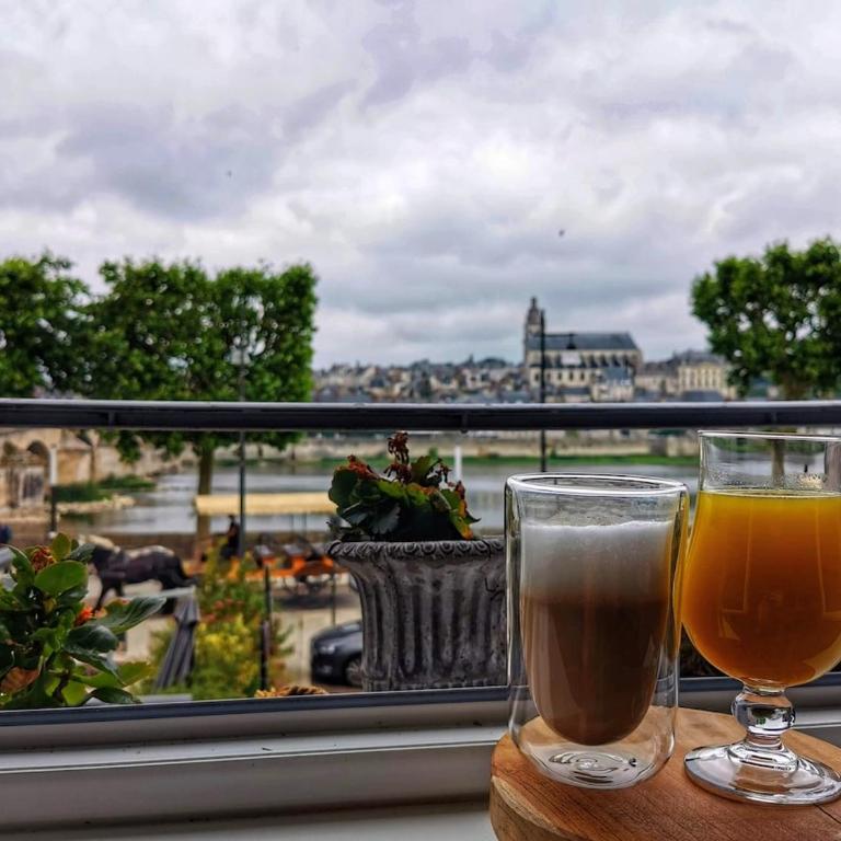 Vue Loire exceptionnelle avec Parking Chez Gabin - Apartamento de 2 dormitorios con vistas a la ciudad - 26