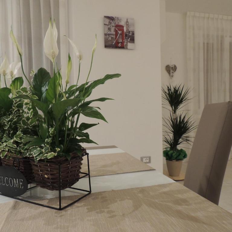 Appartamenti Casa Prandel - Appartement avec Balcon - 20