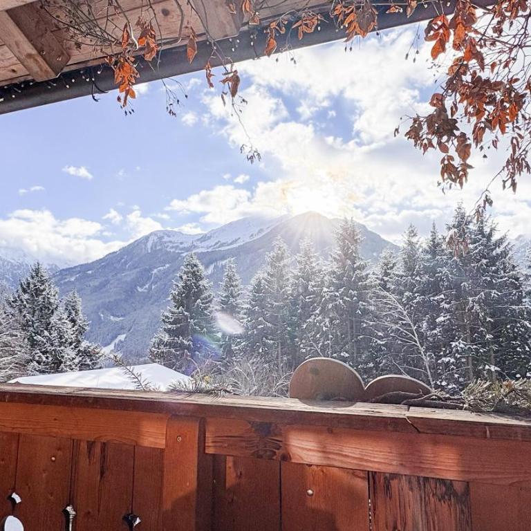 Naturdorf Oberkühnreit - Chalet con Balcone (2-4 Adulti) - 12