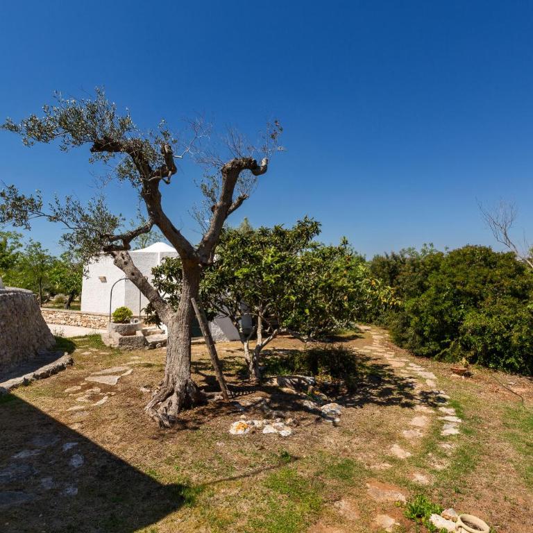 Trulli delle Acacie by Perle di Puglia - Villa - 62