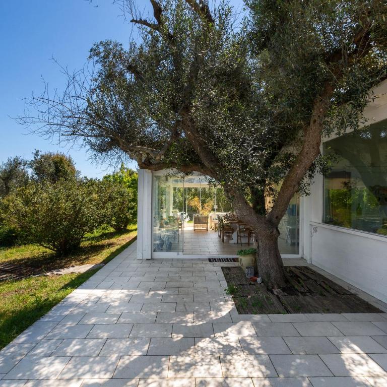 Trulli delle Acacie by Perle di Puglia - Villa - 15