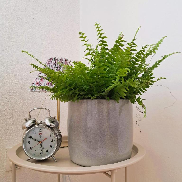 Sarajevo Cozy Attic and Backyard apartment - Apartman - Prizemlje - 15