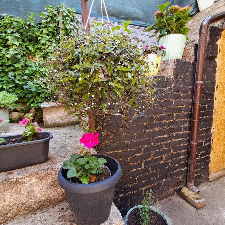 Sarajevo Cozy Attic and Backyard apartment - Apartman - Prizemlje - 16