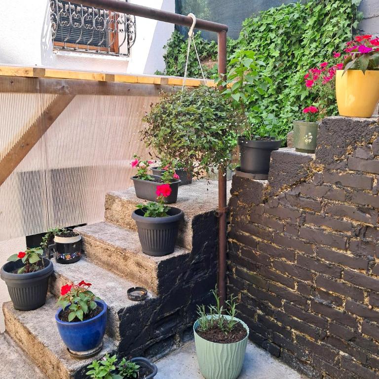 Sarajevo Cozy Attic and Backyard apartment - Apartman - Prizemlje - 18