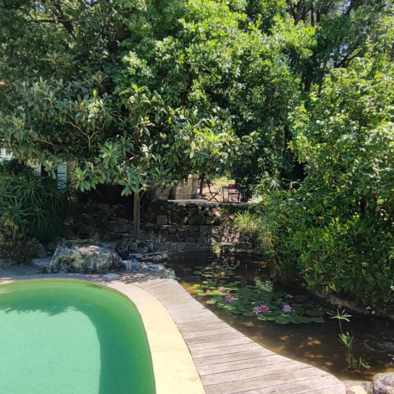 Grand studio 30 m2 dans villa avec piscine proche de Valbonne - Appartement 1 Chambre - 24