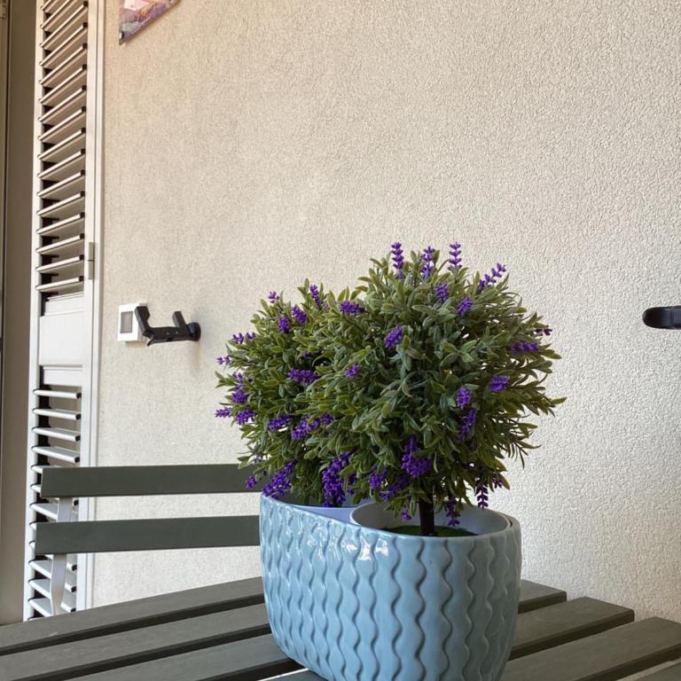 Casa Vacanza AURORA Taormina Trappitello - Appartamento con 1 Camera da Letto - 26