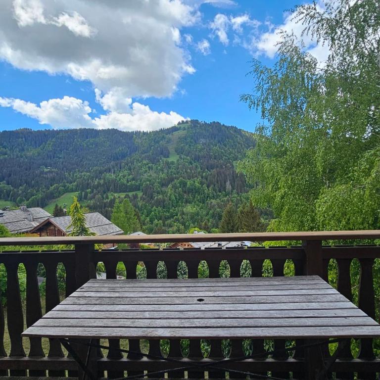 Bright chalet mountain view & ski access - Chalet - 17