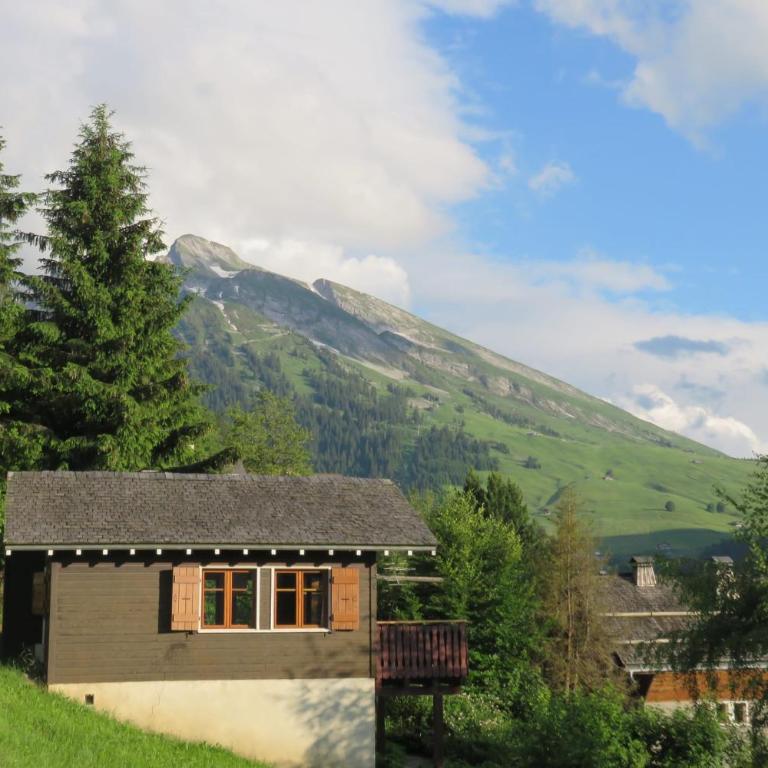 Bright chalet mountain view & ski access - Chalet - 22