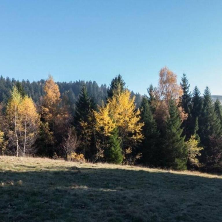 Family apartment at the foot of the slopes - Appartamento con 1 Camera da Letto - 12
