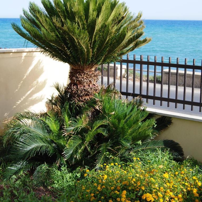 Terrazza a mare Corallo - Appartamento con 2 Camere da Letto e Terrazza - 5
