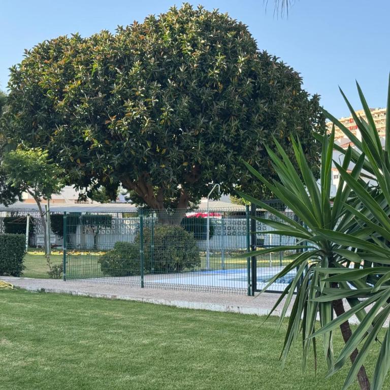 Quiet apartment near the sea with 2 terraces - One-Bedroom Apartment with Balcony and Water View - 26