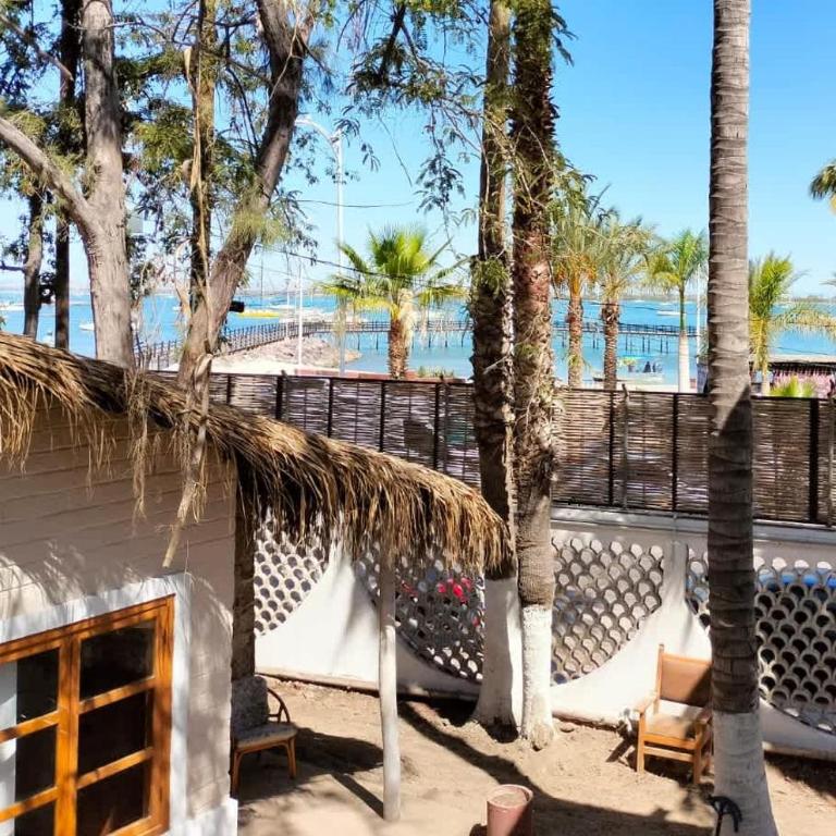 SS 9C Cabana rustica frente al malecon de La Paz - Bungalow - 3