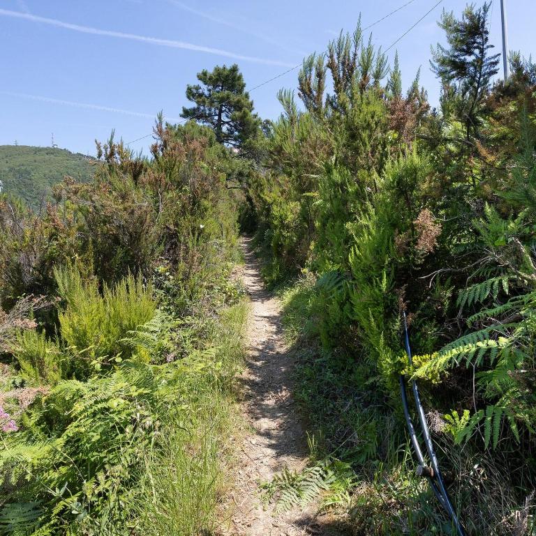 Casetta Anna Nature Trekking Peace - Studio Apartment with Sea View - 26