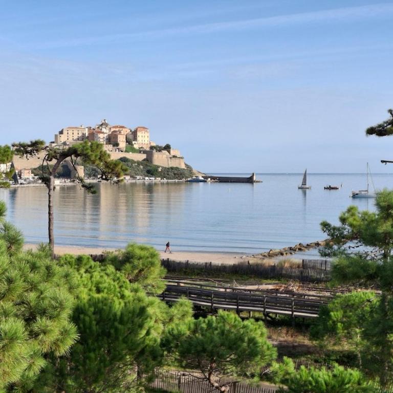 Appartement T3 à 50 mètres de la plage, vue exceptionnelle - Two-Bedroom Apartment - 19