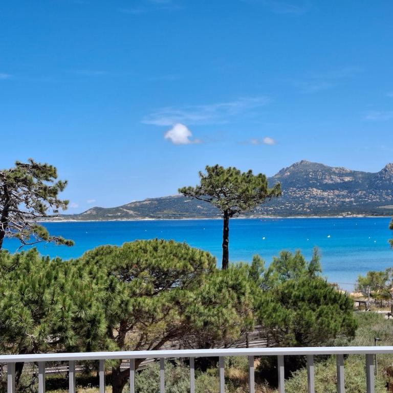 Appartement T3 à 50 mètres de la plage, vue exceptionnelle - Two-Bedroom Apartment - 4