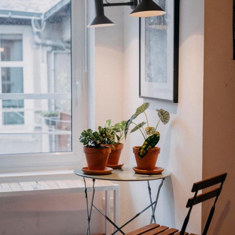 Le Nid des Carmes, cœur de Nantes Wi-Fi - Appartement 2 Chambres - 9