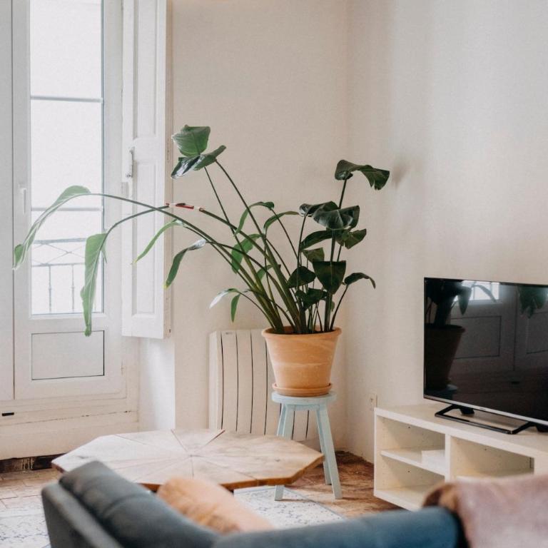 Le Nid des Carmes, cœur de Nantes Wi-Fi - Appartement 2 Chambres - 2