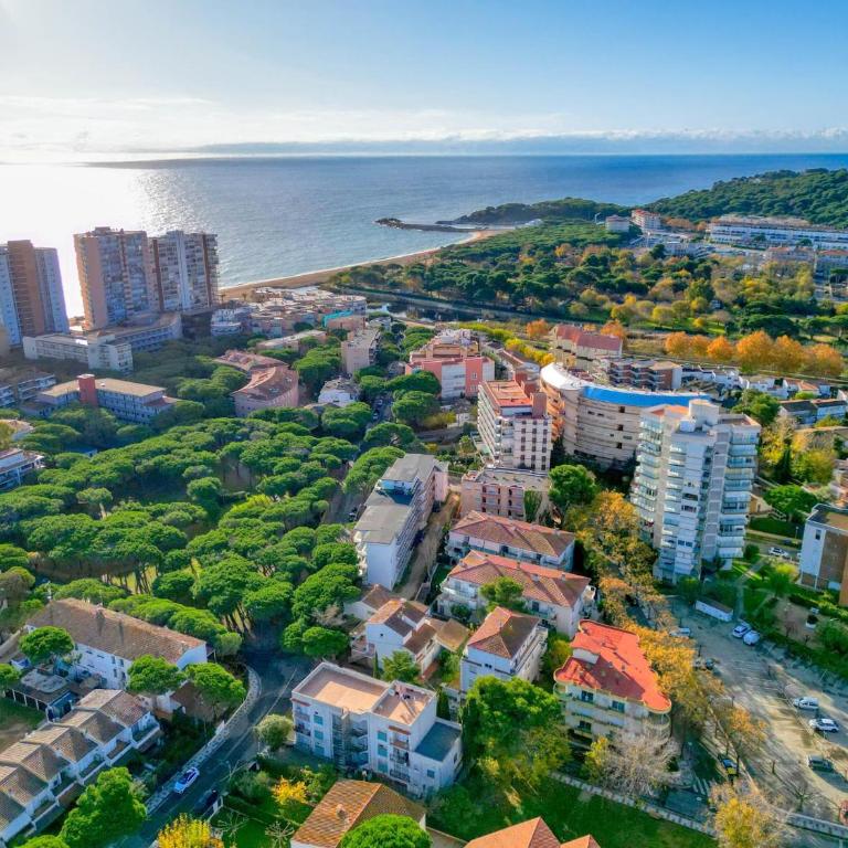Anec - Apartamento - 17