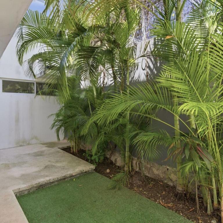 Jungle Villas at Bosques Bambu - Cenote Access - Villa - 26