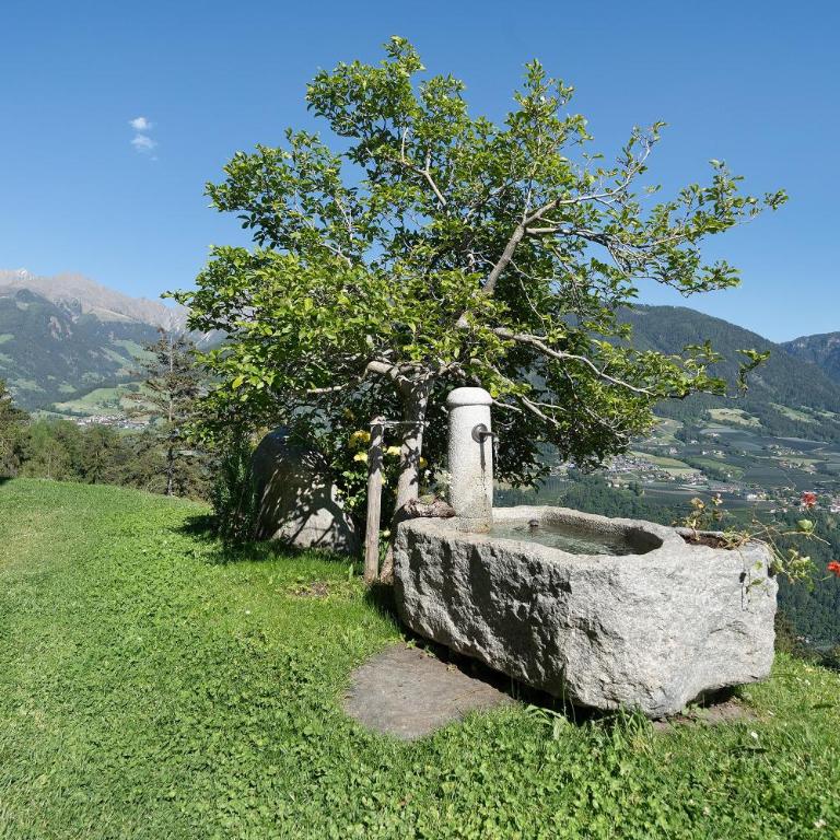 Haus Bergwies - Appartamento Superior con 1 Camera da Letto e Balcone - 30