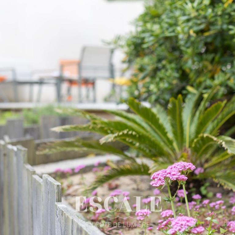 Océan Nature & Convivialité pour 5 à 6 personnes - Casa - 12