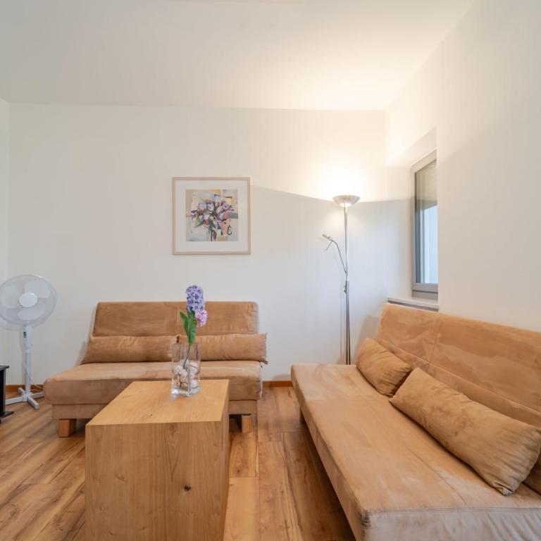 Residence Passerhaus - Appartamento - 7