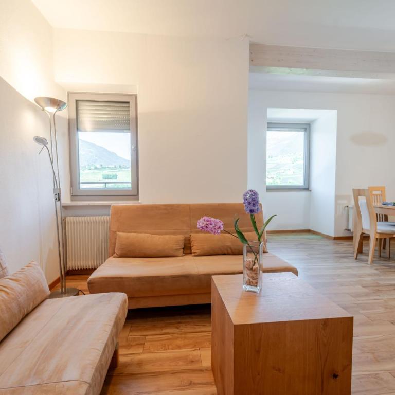 Residence Passerhaus - Appartamento - 14