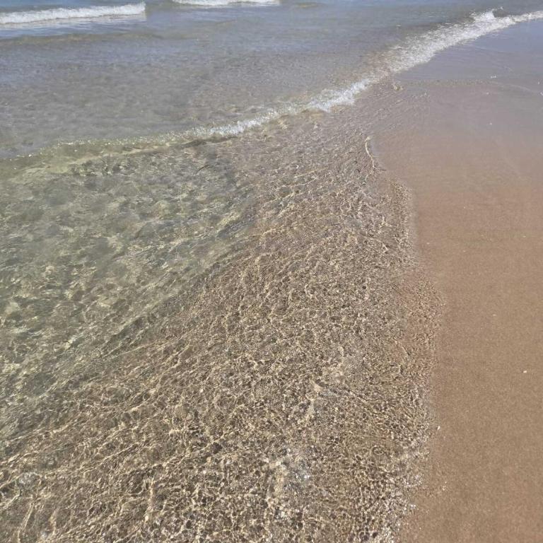 Apartamento de Lujo Cerca de la Playa EL CAMPELLO - Appartement Deluxe - 5