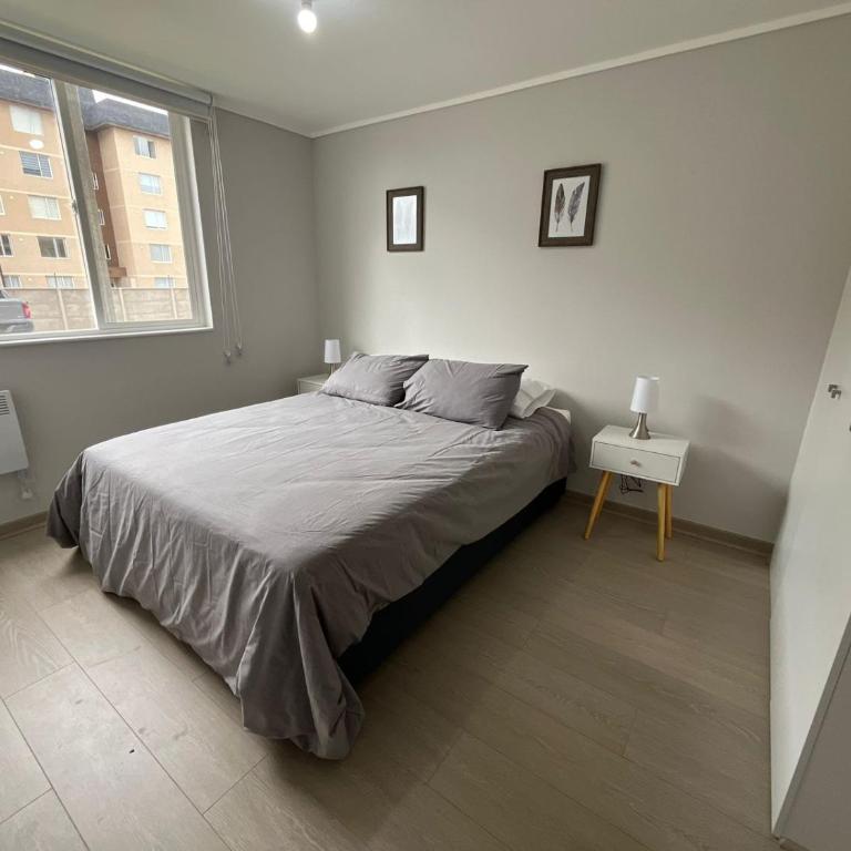 Departamento en Villarrica - Apartamento de 2 dormitorios - 2