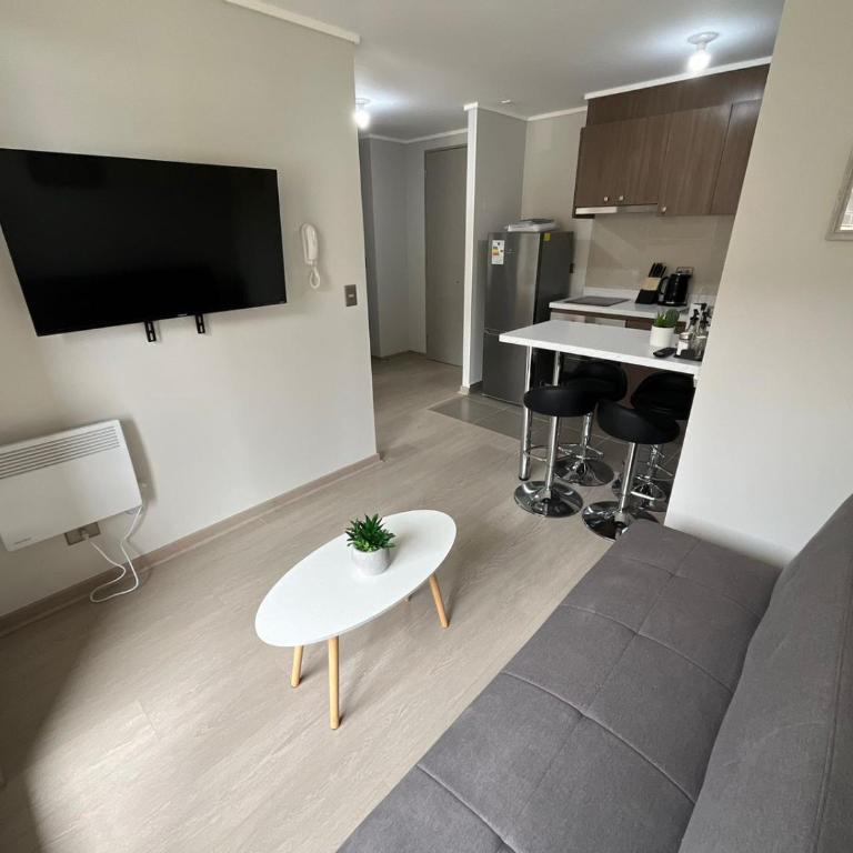 Departamento en Villarrica - Apartamento de 2 dormitorios - 4