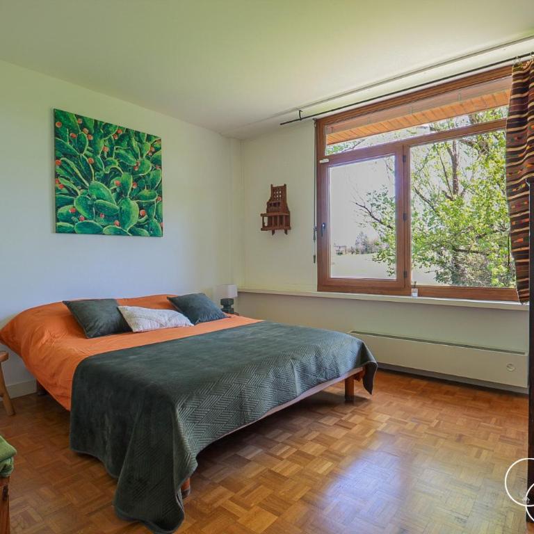 Green Oak Windows & Wood - Villa - 29