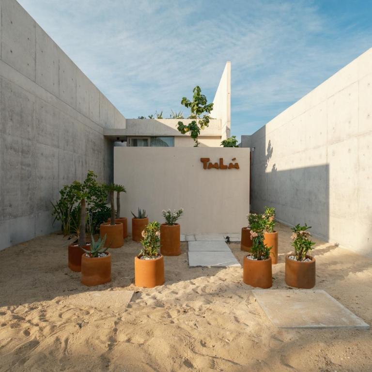 Casa Talá by Lumina - Villa - 14