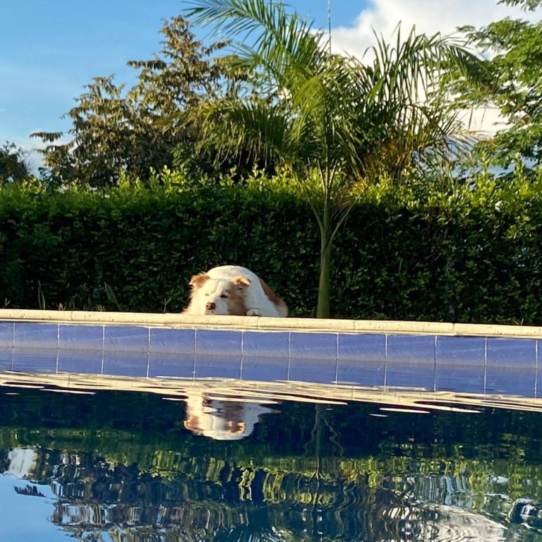 Finca San Juan Anapoima Cundinamarca Colombia - Three-Bedroom House - 9