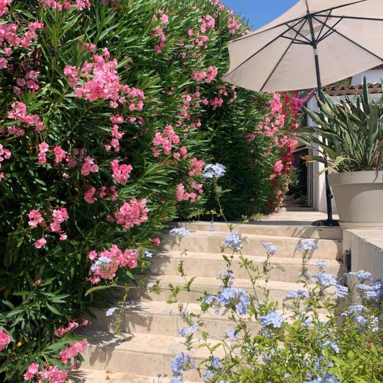Les Laurines - Villa - 20